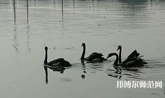 浙江師范大學(xué)行知學(xué)院蘭溪校區(qū)2023年怎么樣、好不好
