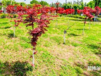 漢中職業(yè)技術(shù)師范學(xué)院2023年怎么樣、好不好