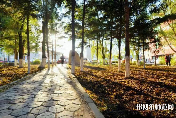 長春大學師范學院主校區(qū)2023年報名條件、招生要求、招生對象