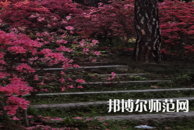 信陽師范學(xué)院華銳學(xué)院2023年報名條件、招生要求、招生對象
