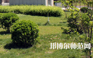 安陽(yáng)幼兒師范高等專(zhuān)科學(xué)校歷年招生錄取分?jǐn)?shù)線(xiàn)
