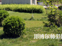 安陽(yáng)幼兒師范高等?？茖W(xué)校歷年招生錄取分?jǐn)?shù)線