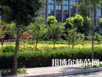 安陽(yáng)幼兒師范高等?？茖W(xué)校2023年有哪些專業(yè)