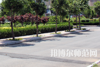 安陽(yáng)幼兒師范高等?？茖W(xué)校2023年有哪些專業(yè)