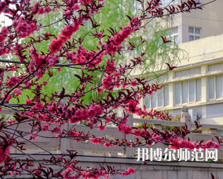 蘇州科技師范大學(xué)天平學(xué)院2023年報(bào)名條件、招生要求、招生對(duì)象