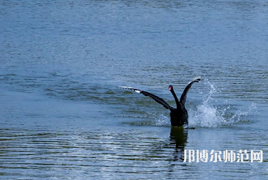 浙江師范大學(xué)2023年怎么樣、好不好