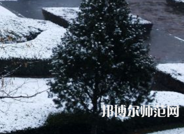 焦作師范高等專(zhuān)科學(xué)校2023年報(bào)名條件、招生要求、招生對(duì)象