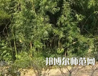湖南理工師范學(xué)院南湖學(xué)院2023年怎么樣、好不好