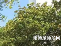 湖南理工師范學(xué)院南湖學(xué)院2023年怎么樣、好不好