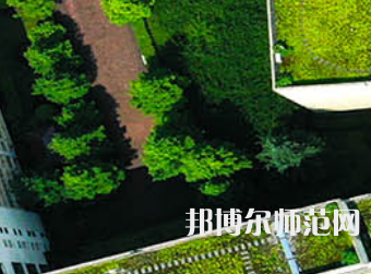 長(zhǎng)沙學(xué)院師范學(xué)院2023年有哪些專業(yè)