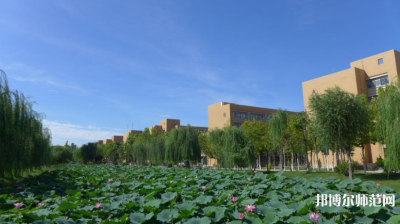 東營職業(yè)師范學(xué)院2023年報名條件、招生要求、招生對象 