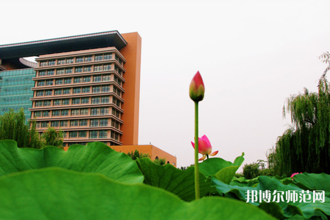 東營(yíng)職業(yè)師范學(xué)院2023年招生辦聯(lián)系電話(huà) 