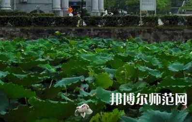 南華師范大學(xué)紅湘校區(qū)2023年報(bào)名條件、招生要求、招生對(duì)象