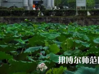 南華師范大學(xué)紅湘校區(qū)2023年報(bào)名條件、招生要求、招生對(duì)象