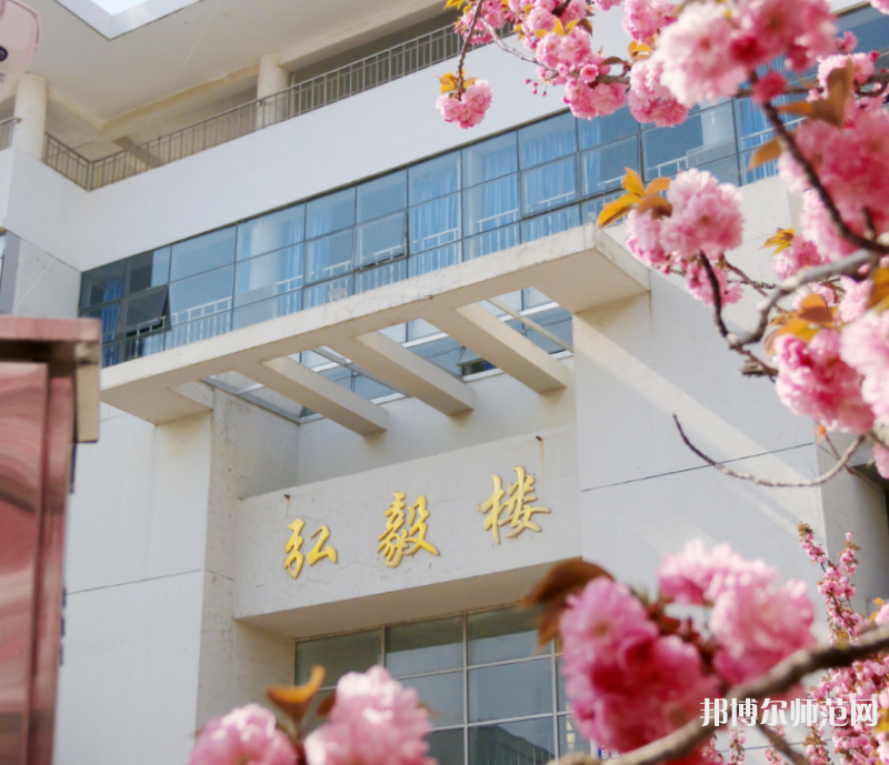 青島科技師范大學四方校區(qū)2023年有哪些專業(yè) 