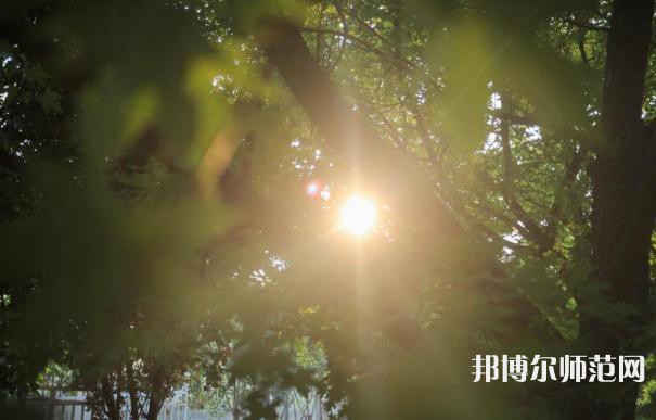 咸陽(yáng)職業(yè)技術(shù)師范學(xué)院2023年報(bào)名條件、招生要求、招生對(duì)象