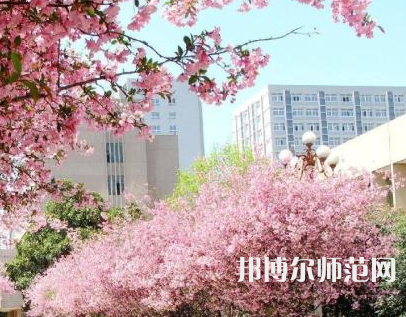 中國礦業(yè)師范大學(xué)徐海學(xué)院2023年報(bào)名條件、招生要求、招生對象