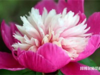 海南師范大學(xué)2023年報名條件、招生要求、招生對象