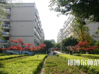 重慶師范大學(xué)涉外商貿(mào)學(xué)院合川校區(qū)2023年有哪些專(zhuān)業(yè)