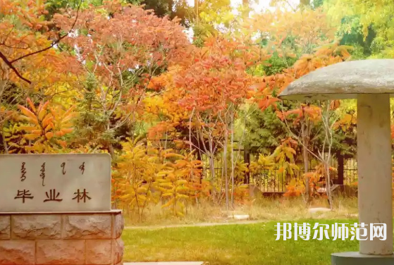 內(nèi)蒙古大學師范學院滿洲里學院2023年怎么樣、好不好