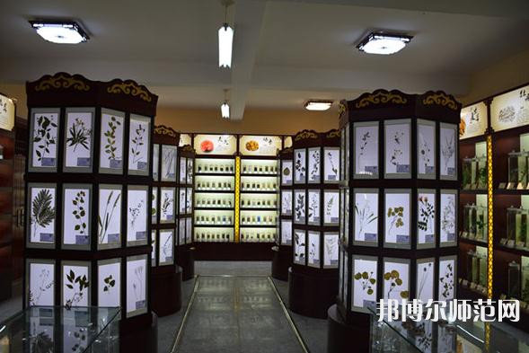 銅川職業(yè)技術(shù)師范學(xué)院2023年學(xué)費、收費多少