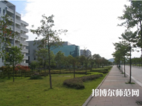 重慶文理學(xué)院2023年有哪些專(zhuān)業(yè)