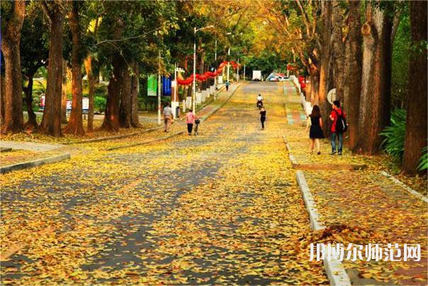 海南大學(xué)師范學(xué)院海甸校區(qū)2023年報(bào)名條件、招生要求、招生對(duì)象 