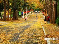 海南大學(xué)師范學(xué)院海甸校區(qū)2023年報名條件、招生要求、招生對象