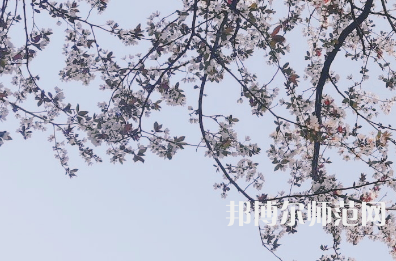 湖南第一師范學(xué)院城南書院校區(qū)2023年學(xué)費、收費多少
