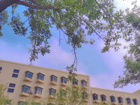 青島師范大學(xué)浮山校區(qū)2023年報(bào)名條件、招生要求、招生對(duì)象