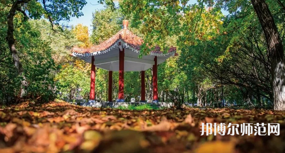 黑龍江師范大學(xué)2023年報(bào)名條件、招生要求、招生對(duì)象 