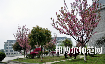  湖南第一師范學(xué)院東方紅校區(qū)歷年招生錄取分數(shù)線