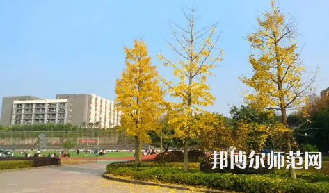 重慶幼兒師范高等?？茖W(xué)校梨園校區(qū)2023年是幾本