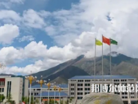 拉薩師范高等?？茖W(xué)校2023年招生代碼