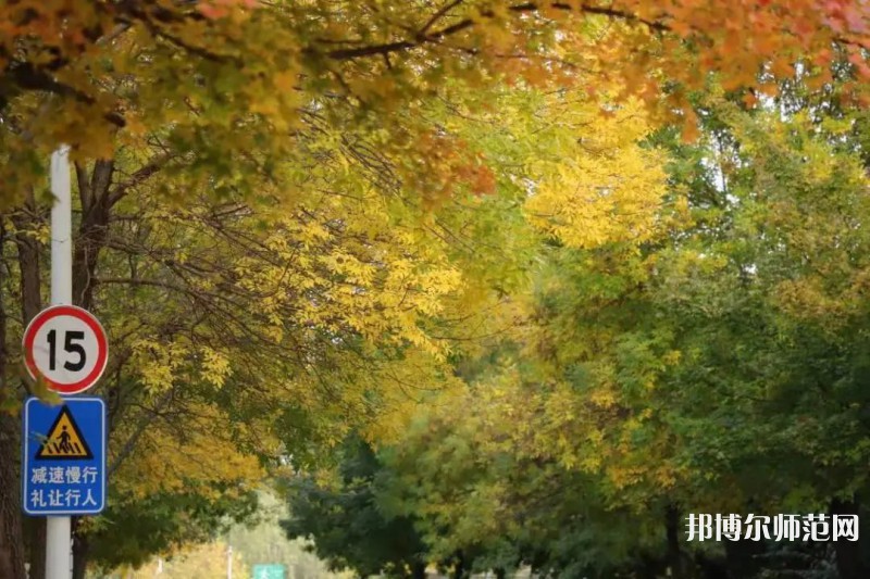 濟(jì)南幼兒師范高等?？茖W(xué)校2023年有哪些專業(yè)