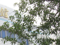 湖南師范大學(xué)樹達(dá)學(xué)院2023年怎么樣、好不好
