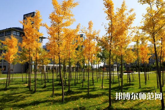 瀘州幼師職業(yè)技術(shù)學(xué)校2023年學(xué)費(fèi)、收費(fèi)多少