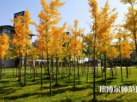 瀘州幼師職業(yè)技術(shù)學(xué)校2023年學(xué)費(fèi)、收費(fèi)多少
