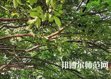 湖南師范大學(xué)2023年報名條件、招生要求、招生對象
