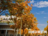 南京師范大學(xué)泰州學(xué)院2023年報名條件、招生要求、招生對象