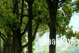 衡陽師范學院南岳學院2023年怎么樣、好不好