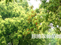 衡陽師范學(xué)院南岳學(xué)院2023年怎么樣、好不好