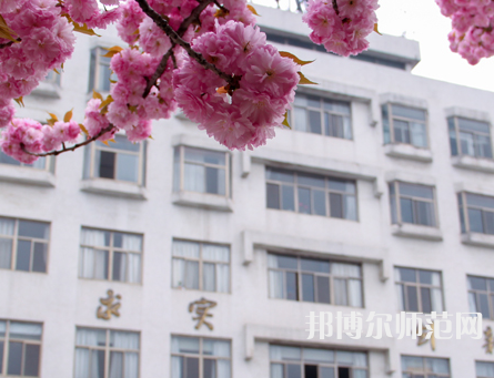 淮陰師范學(xué)院2023年報(bào)名條件、招生要求、招生對(duì)象