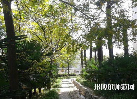 西北大學(xué)師范學(xué)院桃園校區(qū)2023年怎么樣、好不好