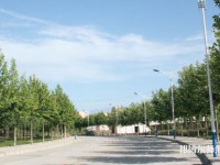 西北大學(xué)師范學(xué)院太白校區(qū)2023年報(bào)名條件、招生要求、招生對象