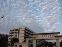 天津師范大學2023年招生計劃