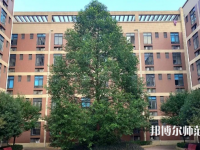 四川師范大學(xué)成都學(xué)院眉山校區(qū)2023年怎么樣、好不好