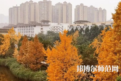 雅安職業(yè)技術(shù)師范學院2023年怎么樣、好不好