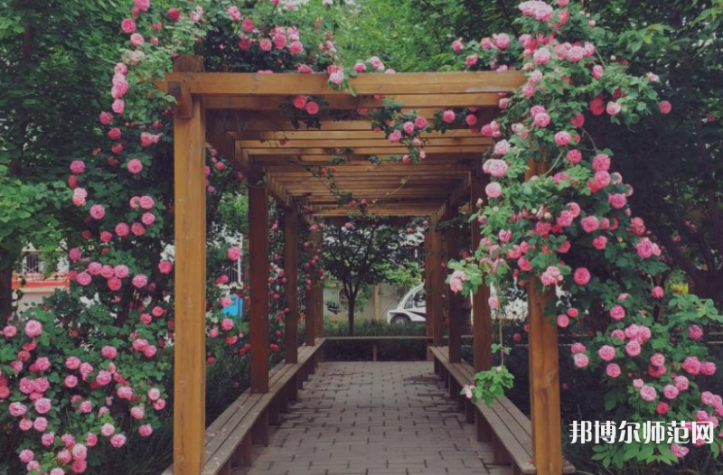 西安工業(yè)師范大學(xué)2023年報(bào)名條件、招生要求、招生對象