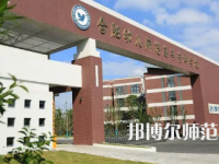 2023年合肥幼兒師范高等?？茖W校是民辦大學還是公辦